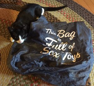 Kitten with sex toy bag