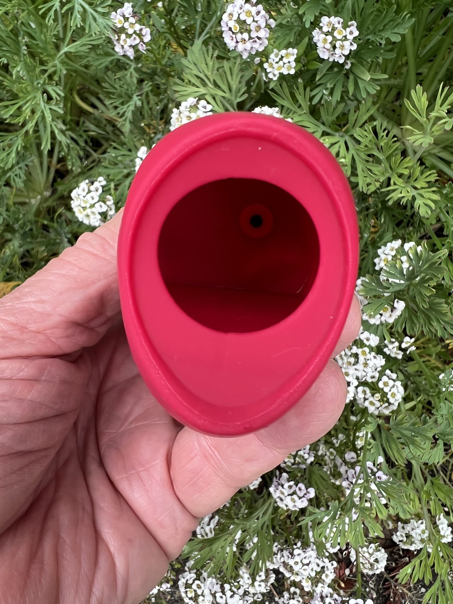 gender x body kisses vibrating suction massager | Reviewed