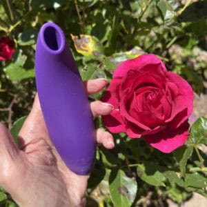 Melt 2 with rose